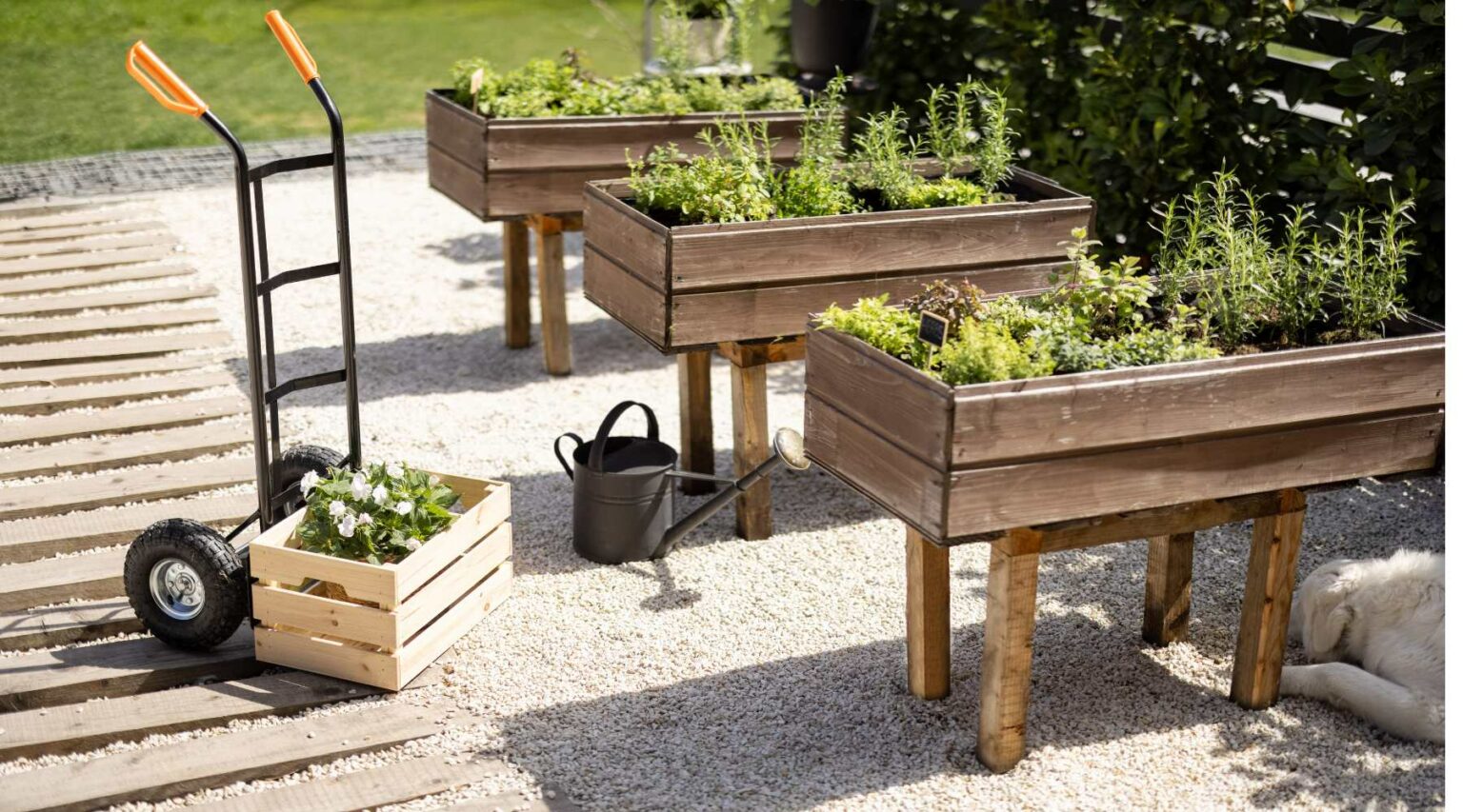 Inspiring Wooden Planter box Ideas for Your Garden - Home And Hues