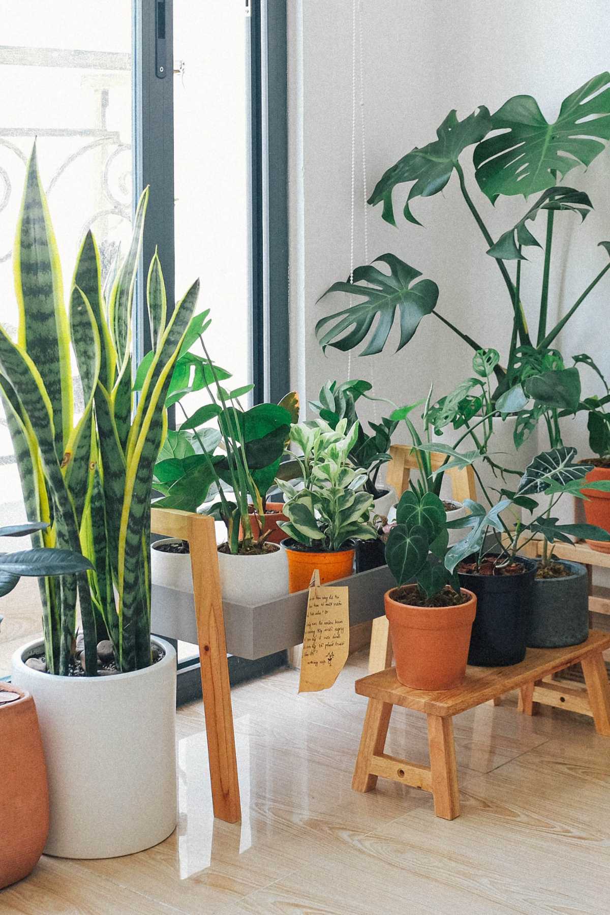 Indoor Planter Box Ideas