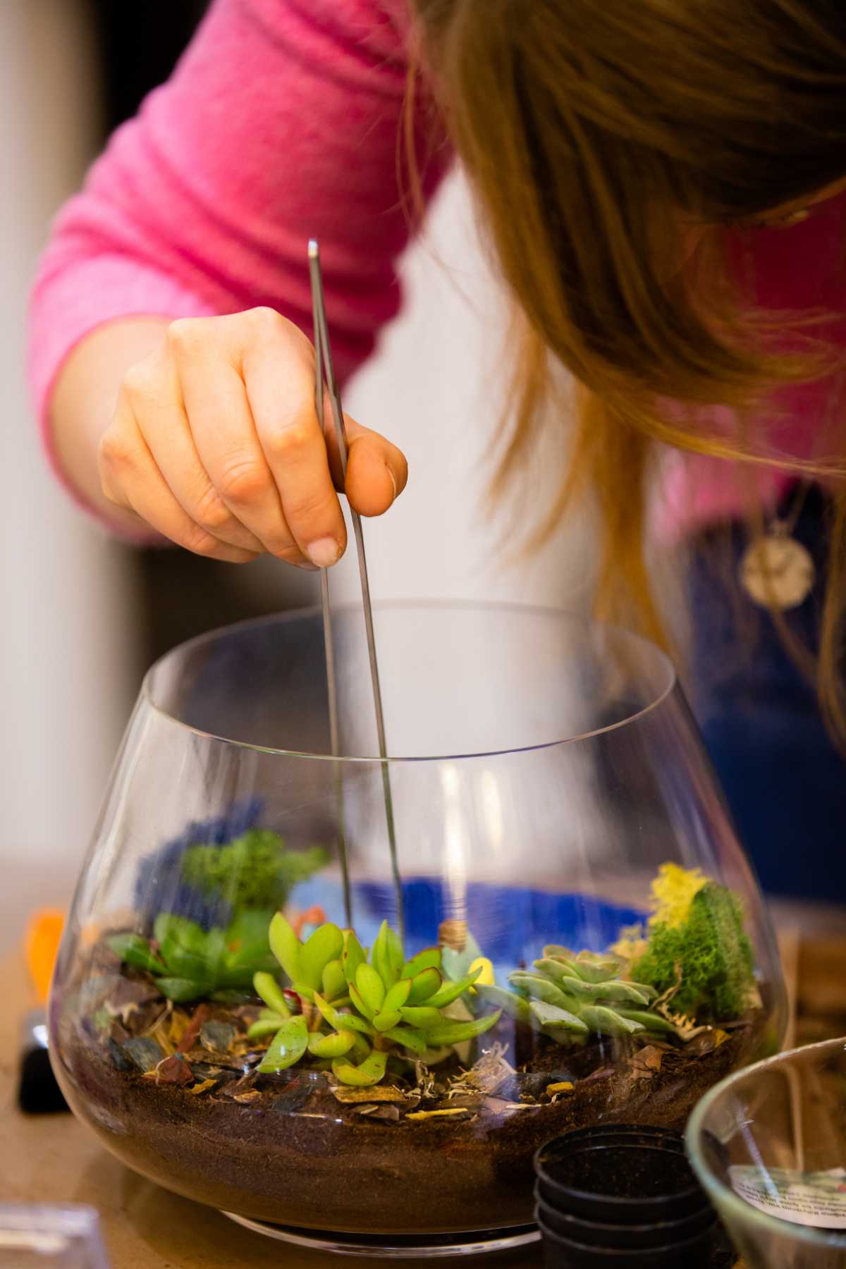 Terrarium planter box for indoors