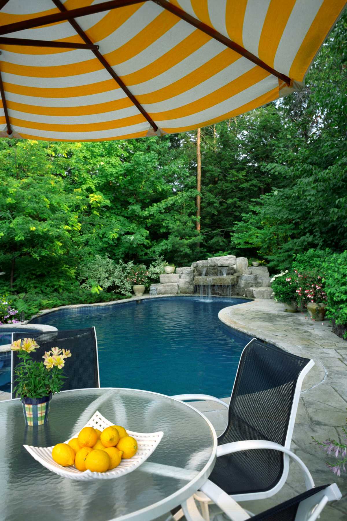 planters to your pool deck 