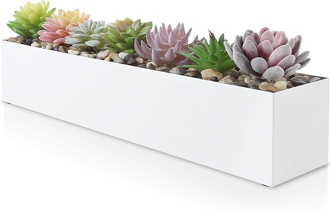 succulent planter box indoor
