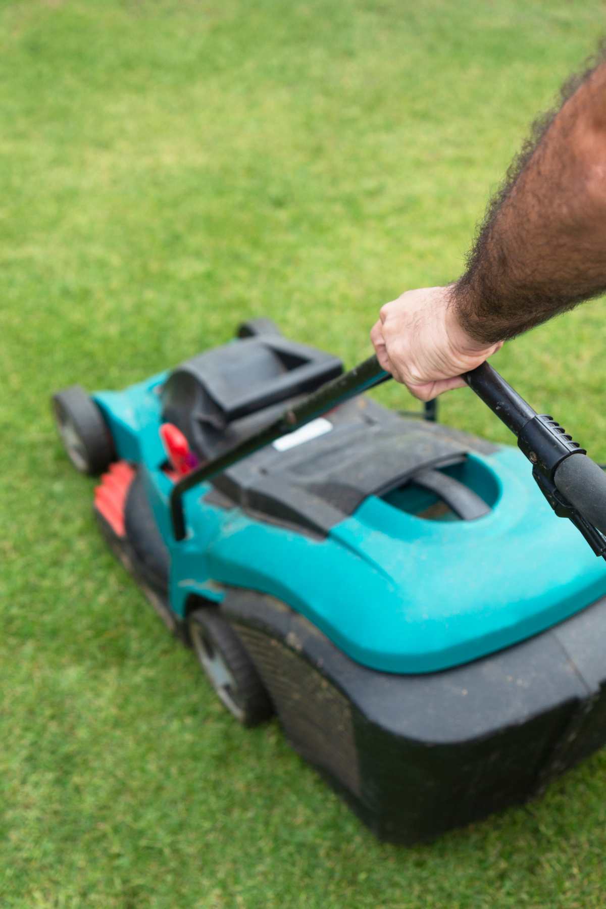 Commercial Push Mower