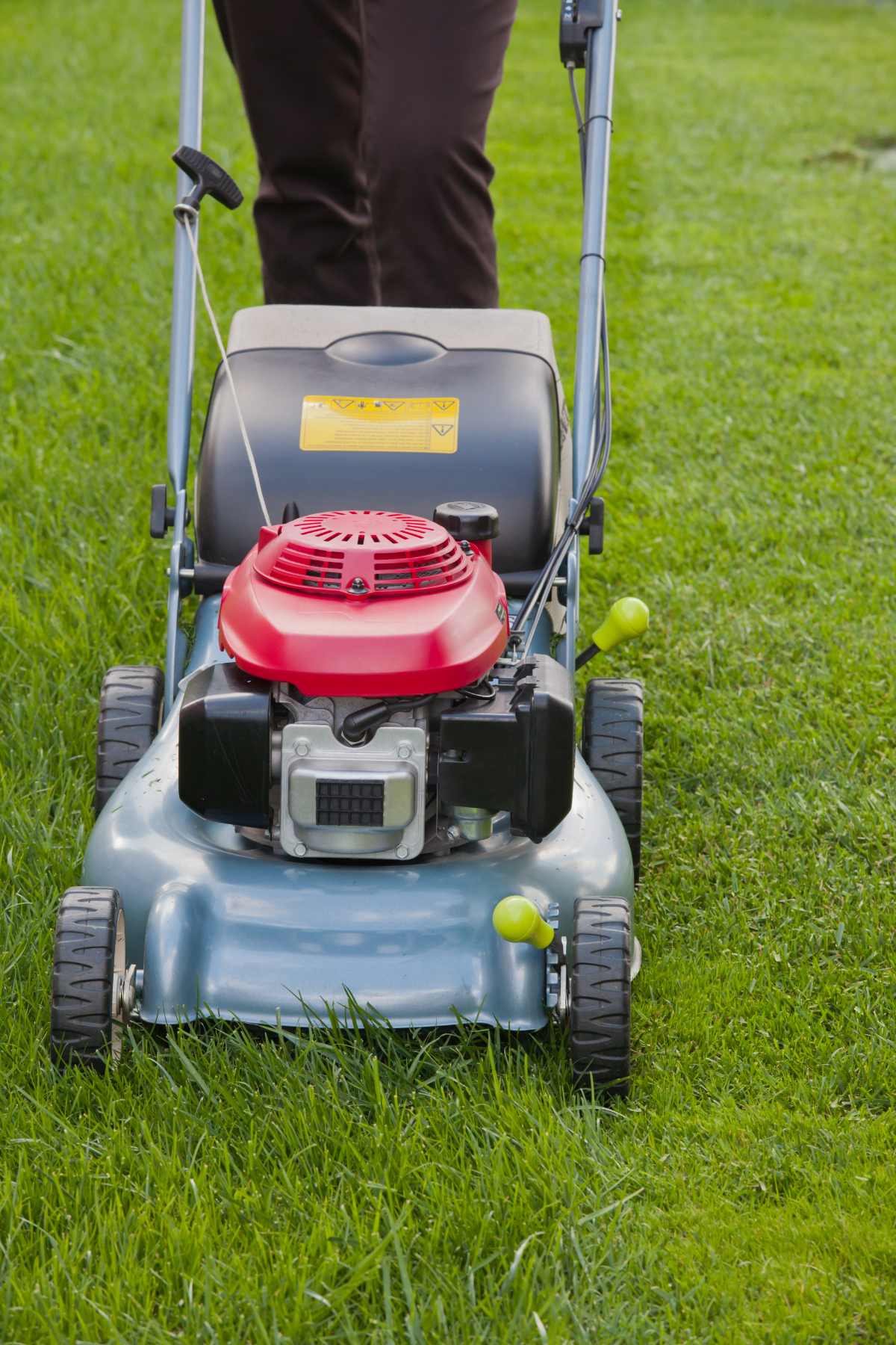 Choosing the Best Commercial Push Mower - Home And Hues