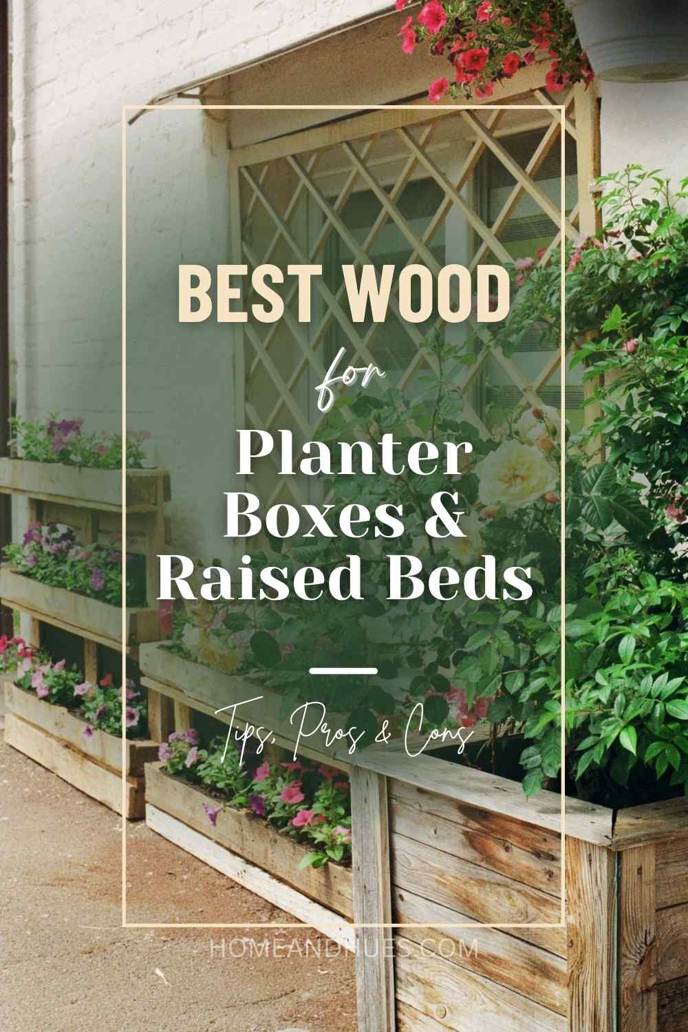 Image showing ''Best Wood for Planter Boxes & Raised Beds" Pinterest Size