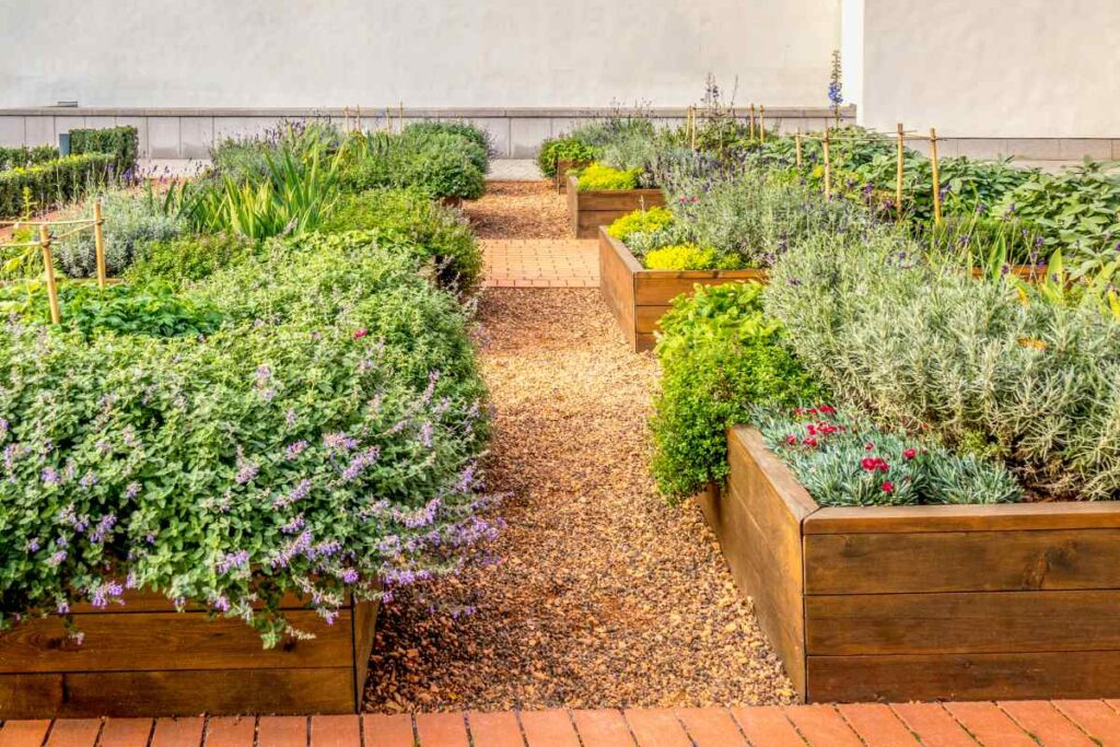 Image showing teak wood planterboxes with different types of flowers