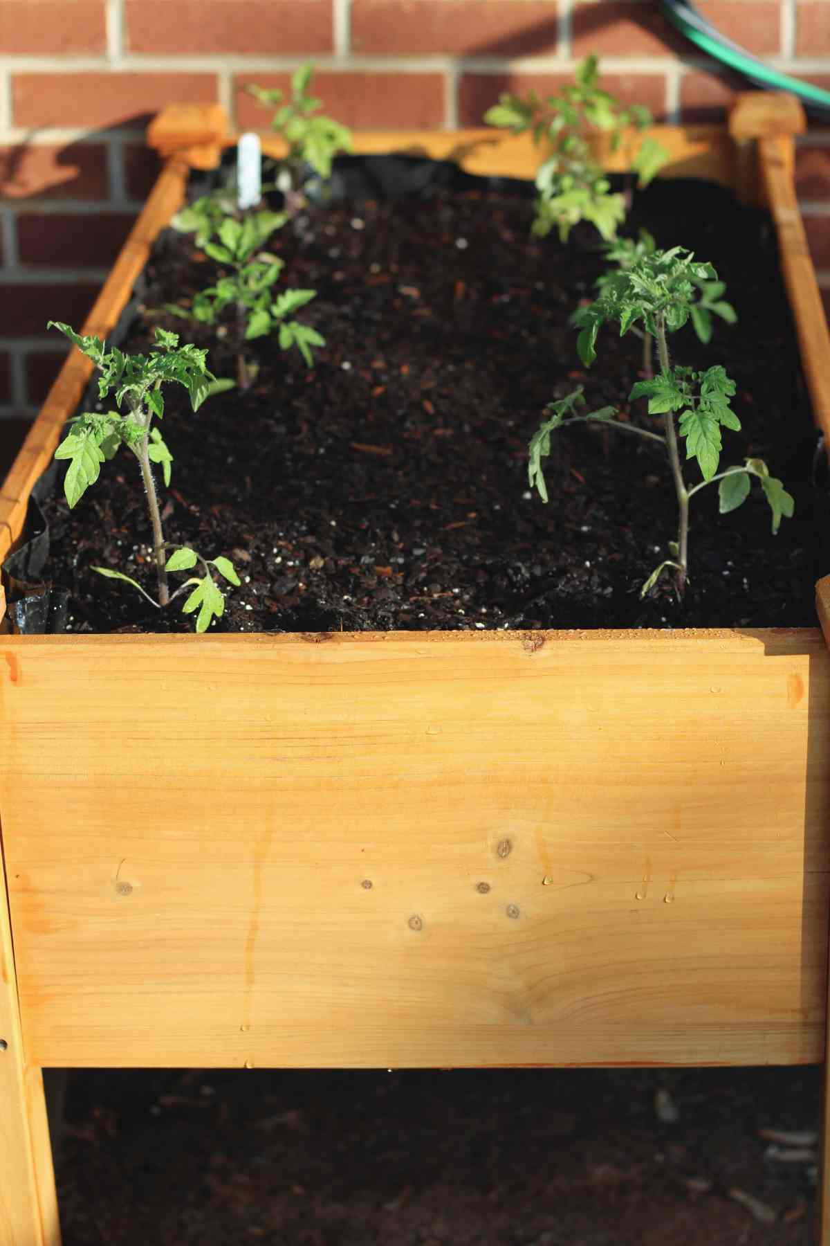 Wooden Planter Box lined with plastic liner and filled with soil.