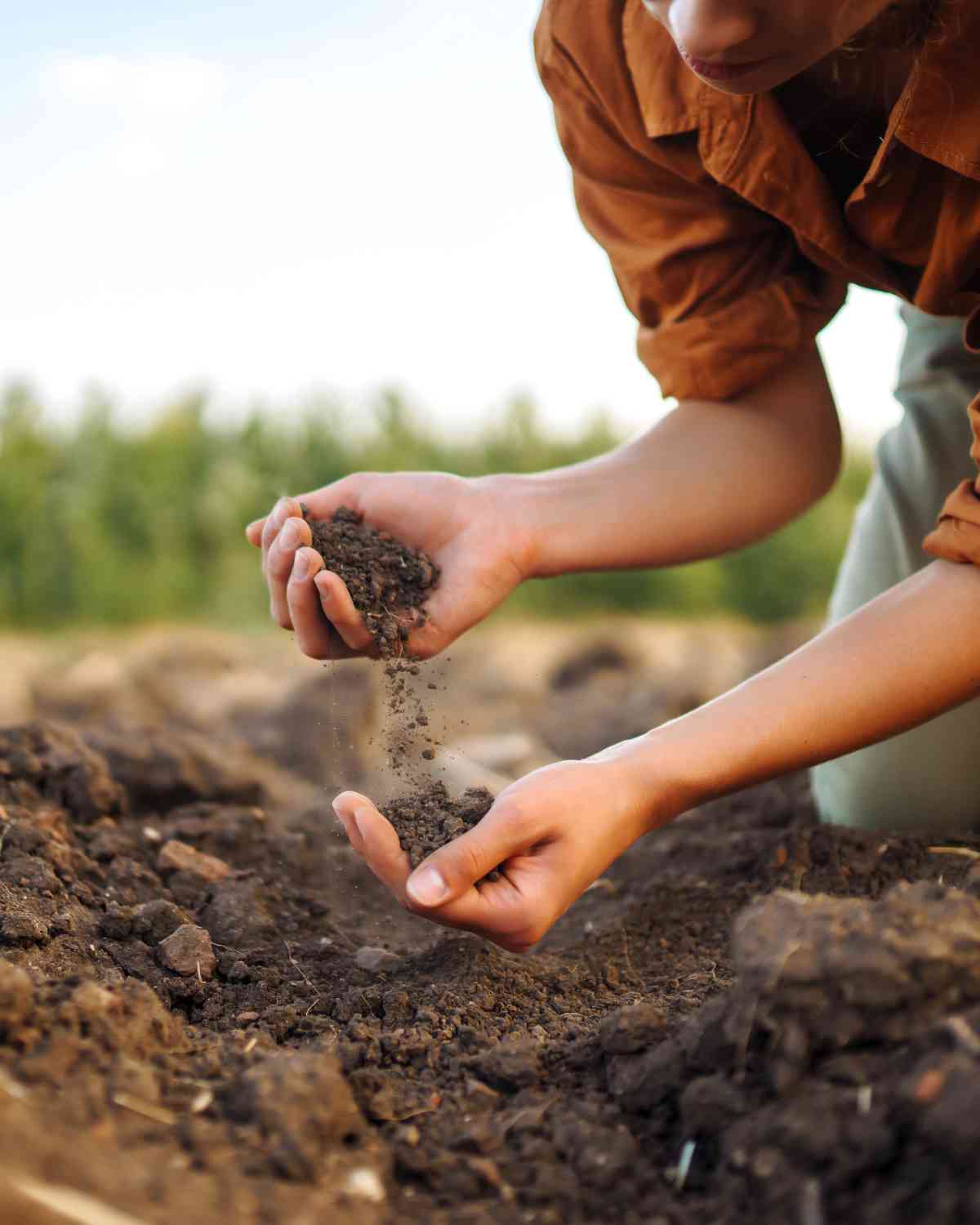 soil checking with hands