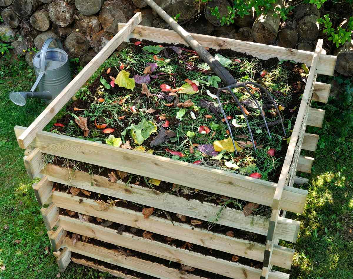 Simple compost for soil structure enhancing.
